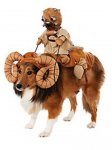 bantha-mit-tusken-raeuber-star-wars-hundekostuem--mw-130450-1.jpg