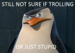 Stillnotsureiftrollingpenguine.jpg