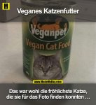 veg_katz.jpg