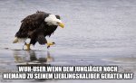 WuHKaliberadler.jpg