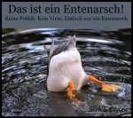 ente.jpg