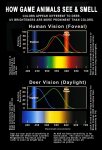 Hirsch Farbensehen Jay Neitz, Ph.D. Vision Scientist Medical College of Wisconsin.jpg