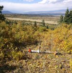 2017-10-06-Stihl-FS560-BEAST-Piste-freisensen-K.jpg