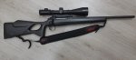 Sauer101_a.jpg