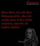 tagesrandbemerkung-voltaire-zitat-spruch-1553-768x896.jpg