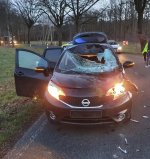 pol-h-entlaufenes-pferd-kollidiert-mit-pkw-autofahrerin-verletzt-tier-verstirbt-am-unfallort.j...jpg