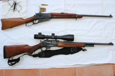 Win 1895 & Marlin 1895 Forum.jpg