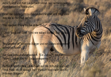 Zebra.png