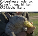 Kolbenfresser.png