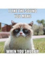 grumpy-cat-meme.jpg