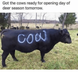 got-the-cows-ready-for-opening-day-of-deer-season-36626370.png