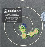 Ballistic-X-Export-2022-04-05 10:48:46.314233.jpg