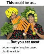 this-could-be-us-plantbased-logic-but-you-eat-meat-17363915-3297967065.png