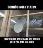 Schrödingers Plates.png