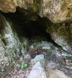 2023-05-26 Höhle mit flachem STEINBETT überwachsen  2 MP.jpg