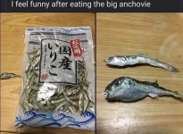 funny anchovi.jpg