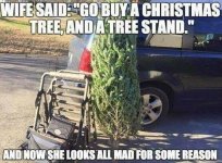 Christmas Tree.jpeg