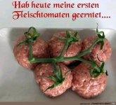 Fleisch-Tomaten.jpg