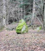 2024-01-05 Hinkelstein oder sogar  Menhir 2 MP.jpg