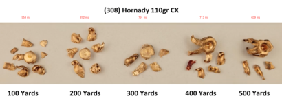 Hornady cx 110grn.png