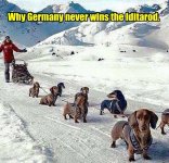 why-germany-never-wins-the-iditarod.jpg