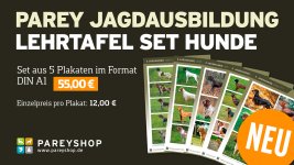 Shop_Banner_PJA_Hundetafeln_1920x1080px.jpg