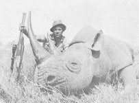 Rhino Kenya.jpg