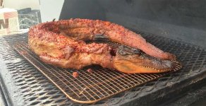 smoked-alligator-1200.jpg