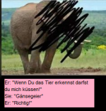 elefant1.png