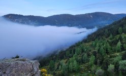 2024-06-06 Nebel zieht ins Tal zur besten Asnitzzeit 2 MP.jpg