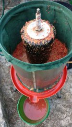 2022-07-15 erste gemuste Beeren lassen Traubenholunder Saft in Presse schon laufen 2 MP.jpg