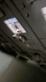 hornoxe.com_gifdump495_40.gif