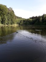 Eisweiher hier zu Hause.jpg