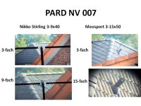 PARDNV007.jpg