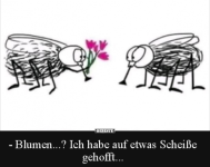 Bildschirmfoto 2024-09-26 um 08.12.07.png