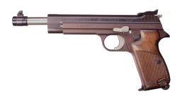 SIG210-5180mml.jpg