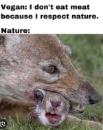 nature.jpg