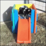 d08b966349ee0e53c021e976eb7d3a395492.gif