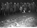 Bundesarchiv_B_145_Bild-F008942-0009,_Xanten,_Falkenjagd.jpg