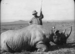 teddy-roosevelt-rhino.jpg