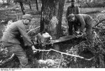 Bundesarchiv_Bild_101I-307-0757-23A__Italien__Baumfallen.jpg