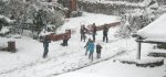 Spielende-Kinder-im-Schnee-2008-11-22.jpg