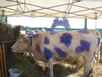 1280px-Paris_Milka_Cow.jpg