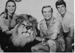 daktaritvshow-wordpress-com-season-3-cast-shot-with-clarence-the-cross-eyed-lion-season-3.jpg