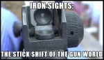 iron sights.PNG